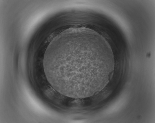 X0000116510383200912231238