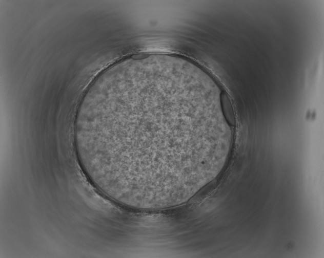 X0000116510385200912231238