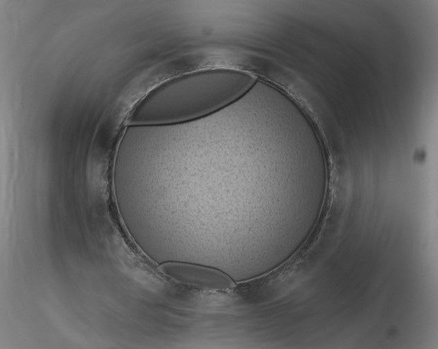 X0000116510386200912231238