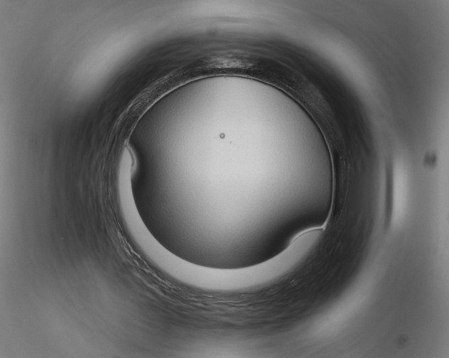 X0000116510387200912231238