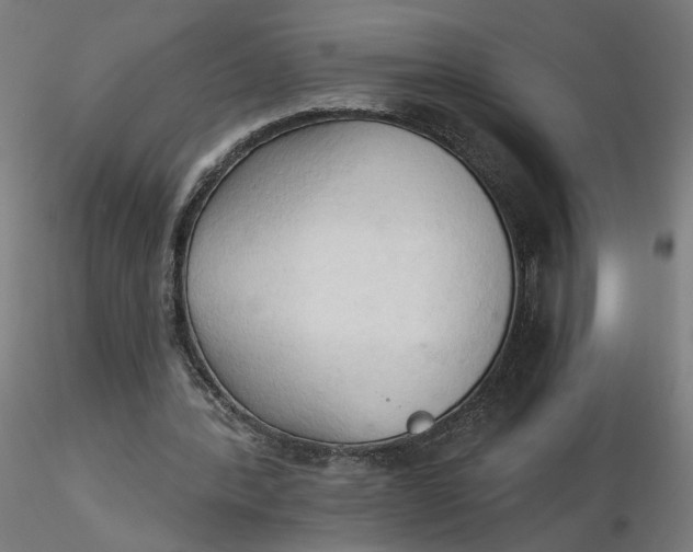 X0000116510388200912231238