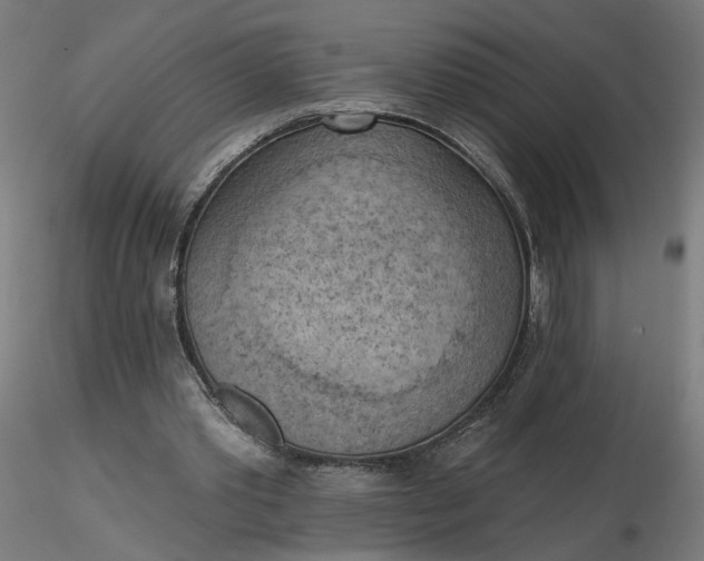 X0000116510389200912231238