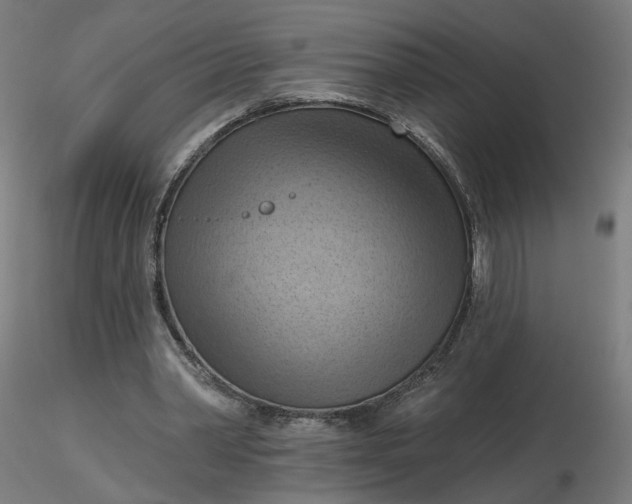 X0000116510390200912231238