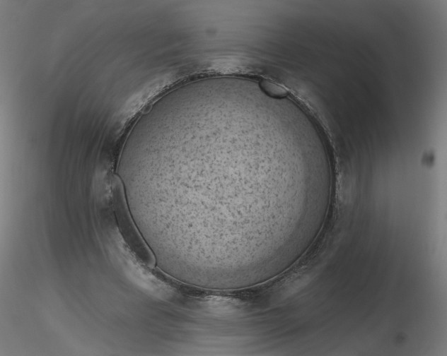 X0000116510393200912231238