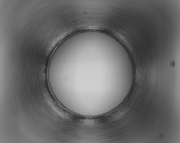 X0000116510394200912231238