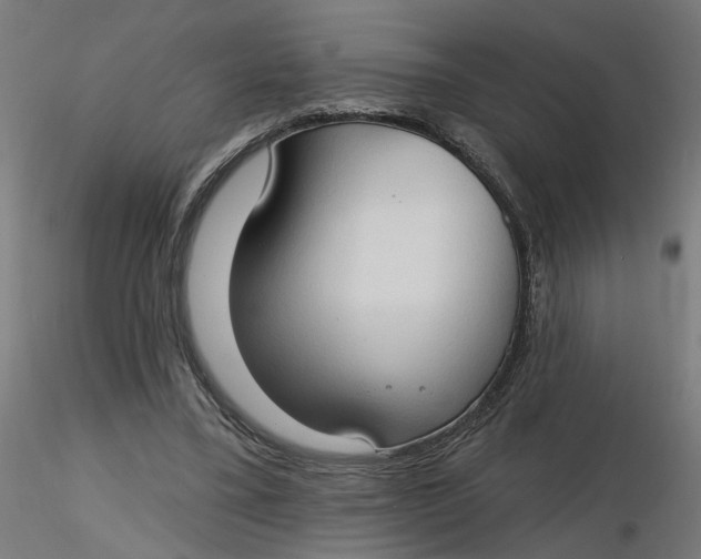 X0000116510395200912231238