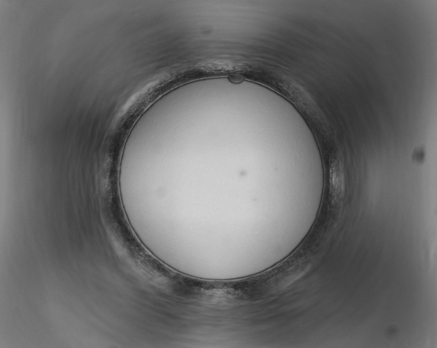 X0000116510396200912231238