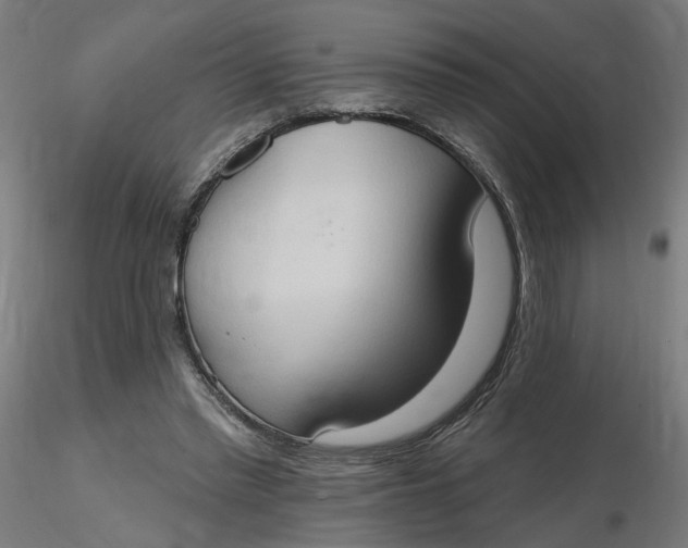 X0000116510397200912231238