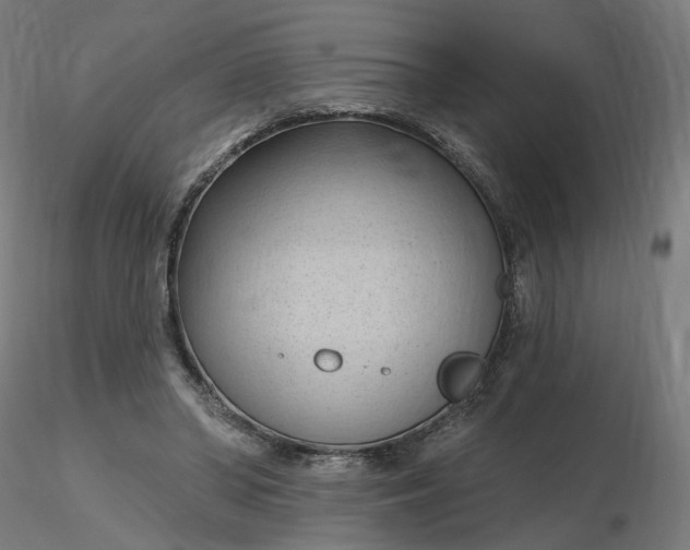 X0000116510398200912231238