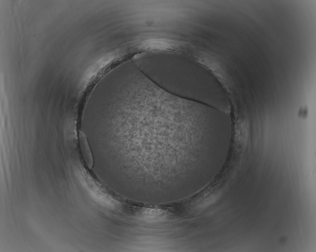 X0000116510399200912231238