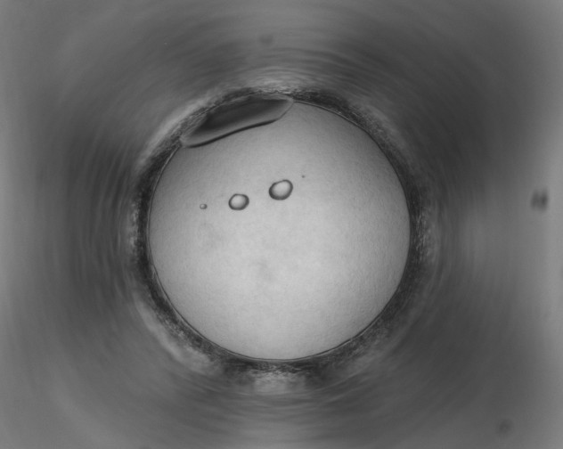 X0000116510400200912231238