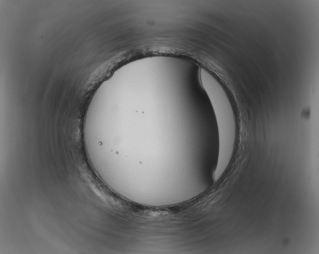 X0000116510401200912231238