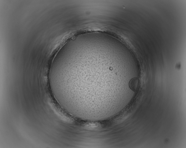 X0000116510402200912231237