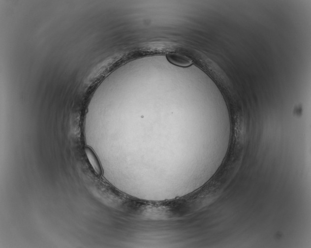 X0000116510403200912231237