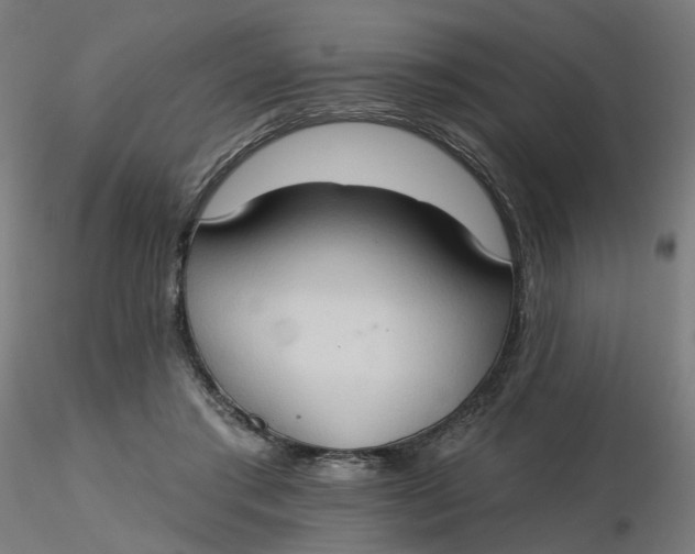 X0000116510405200912231237