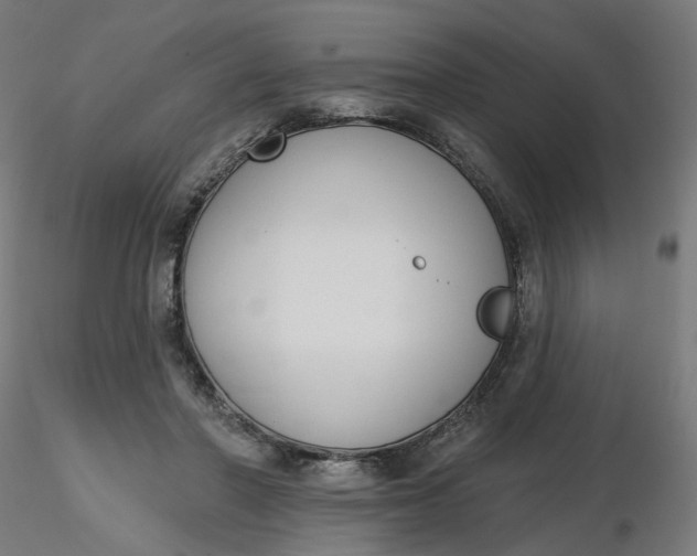 X0000116510406200912231237