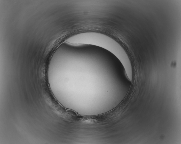 X0000116510407200912231237