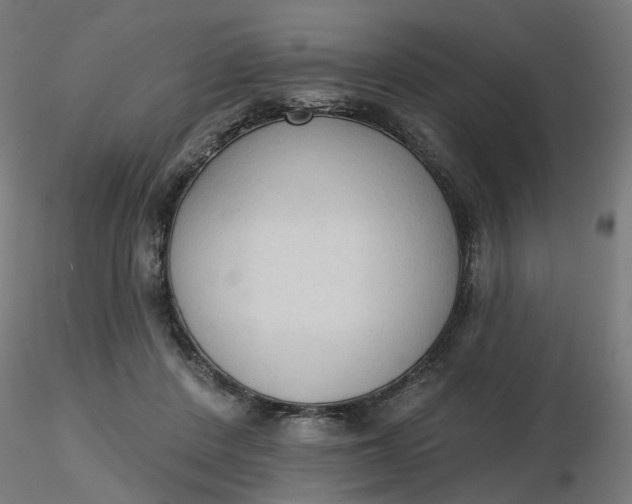 X0000116510408200912231237