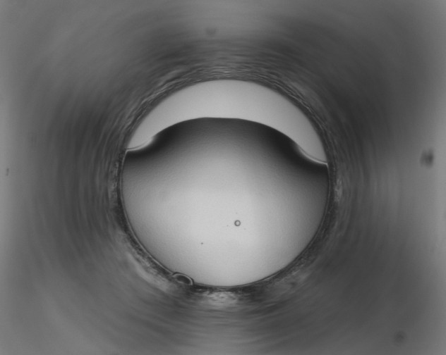 X0000116510409200912231237