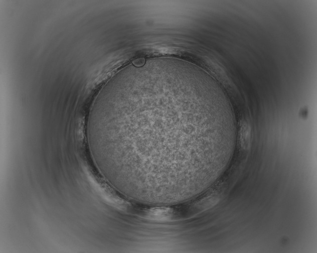 X0000116510410200912231237