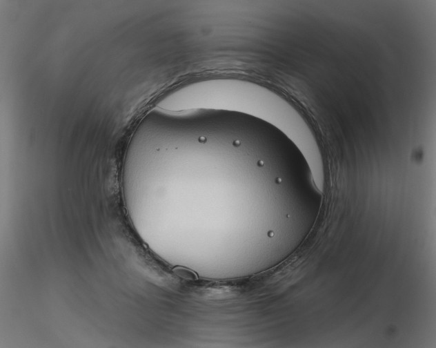 X0000116510411200912231237