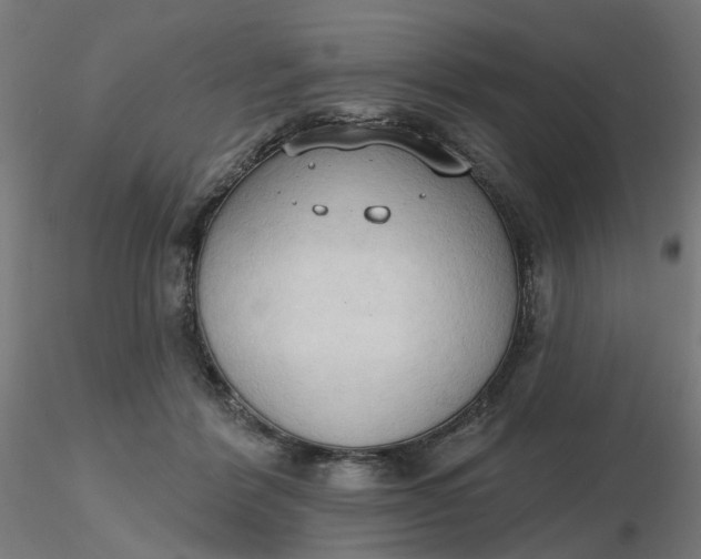 X0000116510412200912231237