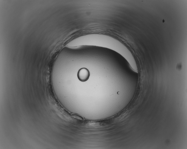 X0000116510413200912231237