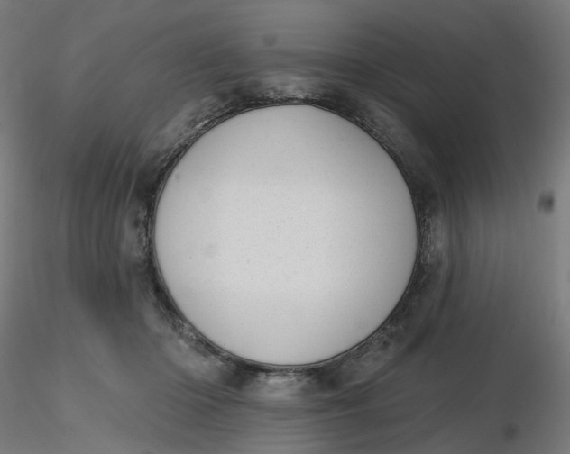 X0000116510414200912231237