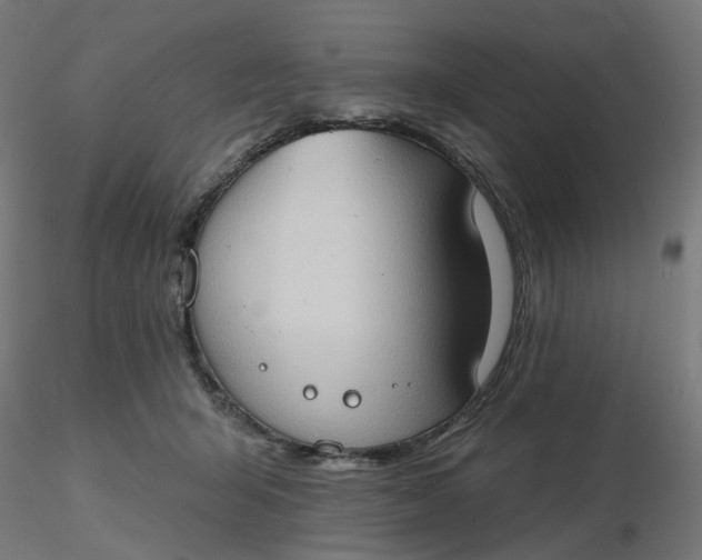 X0000116510415200912231237