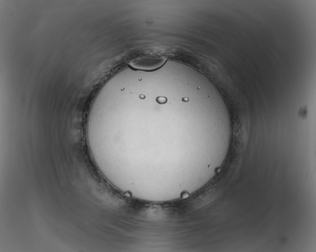 X0000116510416200912231237