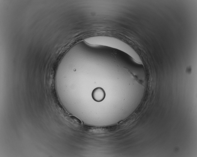 X0000116510417200912231237