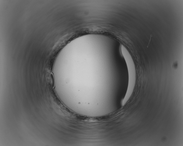 X0000116510419200912231237