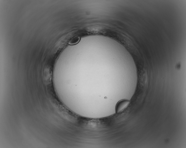 X0000116510420200912231237