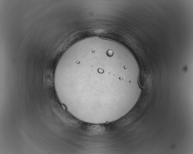 X0000116510421200912231237