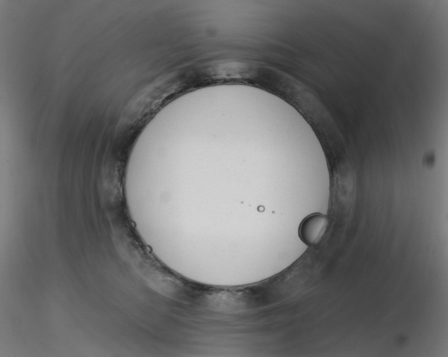 X0000116510422200912231237