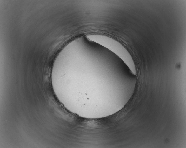 X0000116510423200912231237