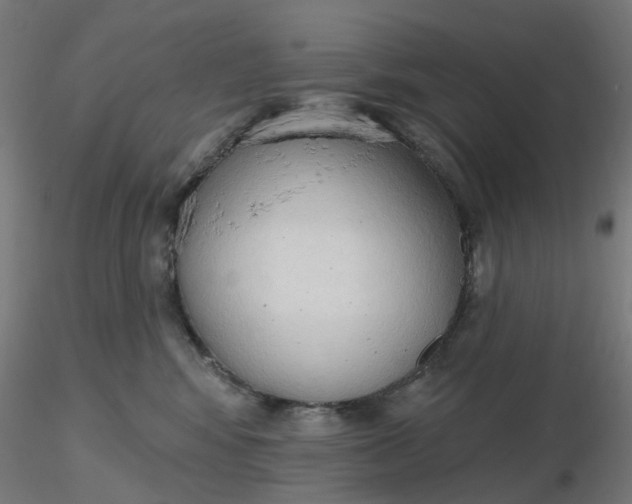 X0000116510424200912231237