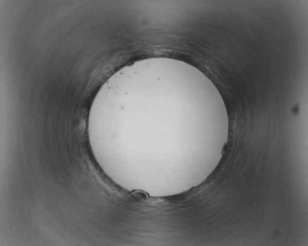 X0000116510427200912231237