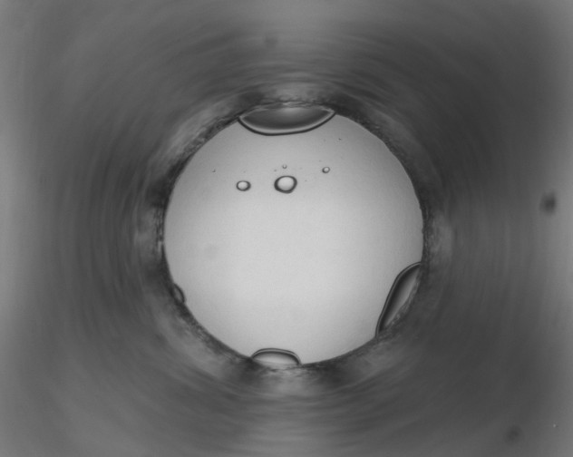 X0000116510428200912231237