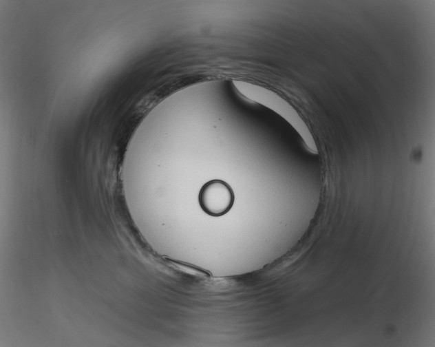 X0000116510429200912231237