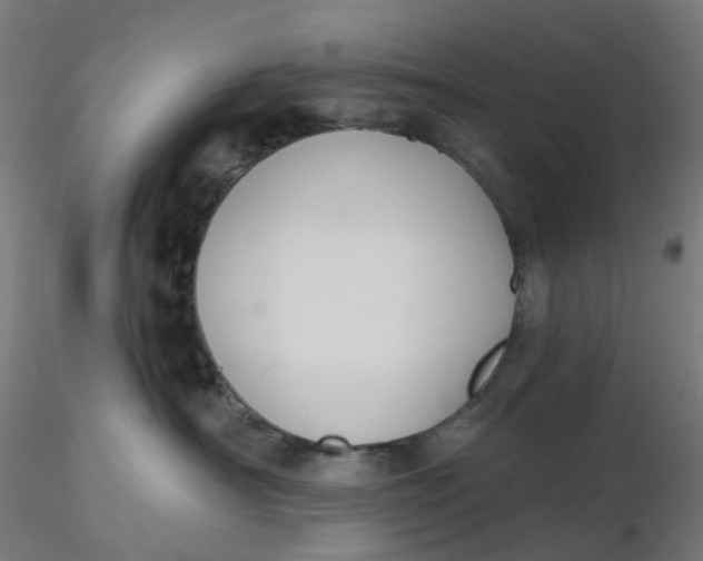 X0000116510430200912231237