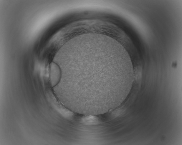 X0000116510431200912231237