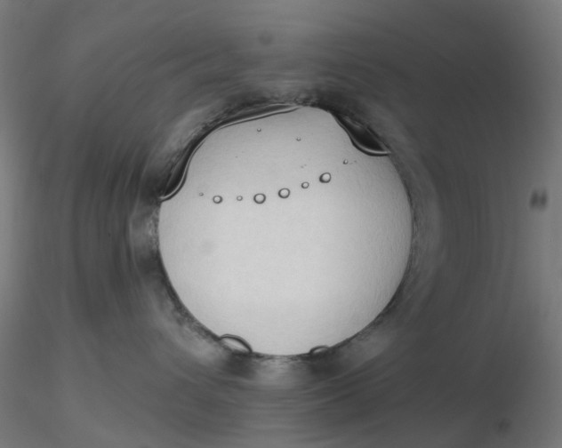 X0000116510432200912231237