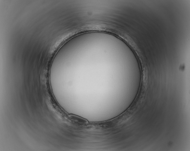 X0000116510434200912231236