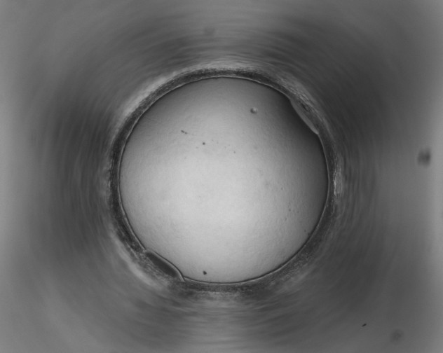 X0000116510436200912231236