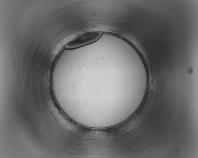 X0000116510437200912231236