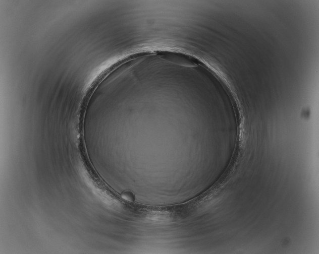 X0000116510438200912231237