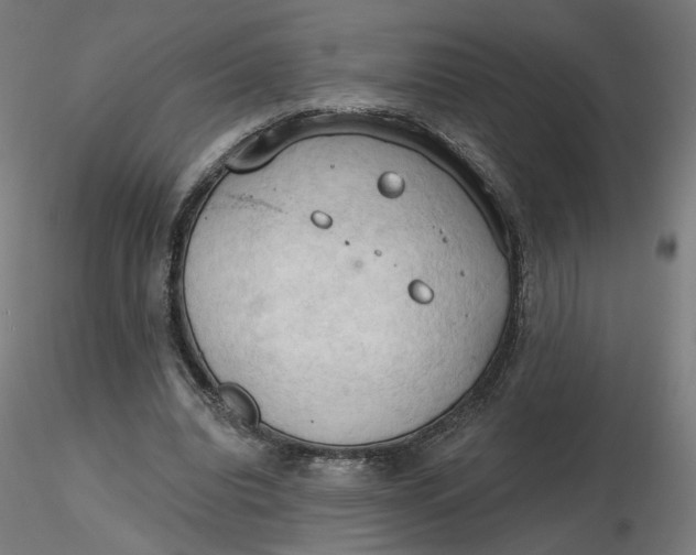 X0000116510440200912231237