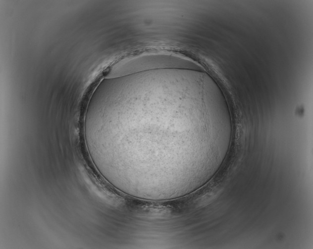 X0000116510443200912231237