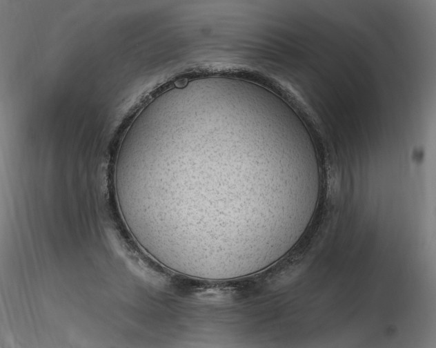 X0000116510447200912231237